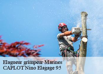 Elagueur grimpeur  marines-95640 CAPLOT Nino Elagage 95
