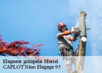 Elagueur grimpeur  meriel-95630 CAPLOT Nino Elagage 95