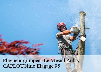 Elagueur grimpeur  le-mesnil-aubry-95720 CAPLOT Nino Elagage 95