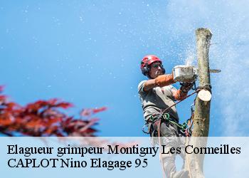 Elagueur grimpeur  montigny-les-cormeilles-95370 CAPLOT Nino Elagage 95