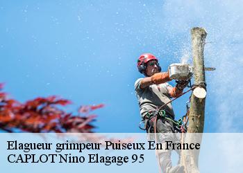 Elagueur grimpeur  puiseux-en-france-95380 CAPLOT Nino Elagage 95