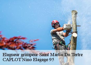Elagueur grimpeur  saint-martin-du-tertre-95270 CAPLOT Nino Elagage 95