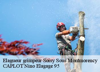 Elagueur grimpeur  soisy-sous-montmorency-95230 CAPLOT Nino Elagage 95