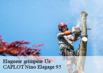 Elagueur grimpeur  us-95450 CAPLOT Nino Elagage 95