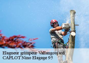 Elagueur grimpeur  vallangoujard-95810 CAPLOT Nino Elagage 95