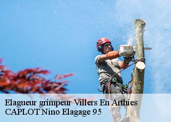 Elagueur grimpeur  villers-en-arthies-95510 CAPLOT Nino Elagage 95