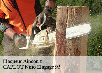 Elagueur  aincourt-95510 CAPLOT Nino Elagage 95