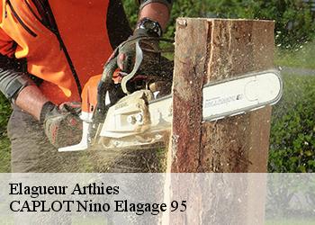 Elagueur  arthies-95420 CAPLOT Nino Elagage 95