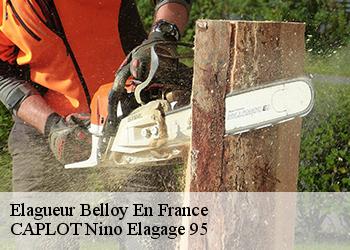 Elagueur  belloy-en-france-95270 CAPLOT Nino Elagage 95