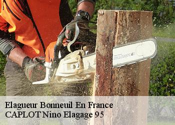 Elagueur  bonneuil-en-france-95500 CAPLOT Nino Elagage 95