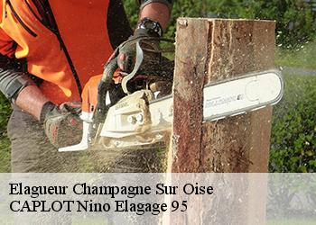 Elagueur  champagne-sur-oise-95660 CAPLOT Nino Elagage 95