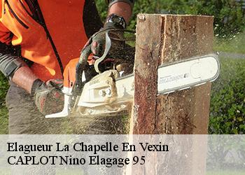 Elagueur  la-chapelle-en-vexin-95420 CAPLOT Nino Elagage 95