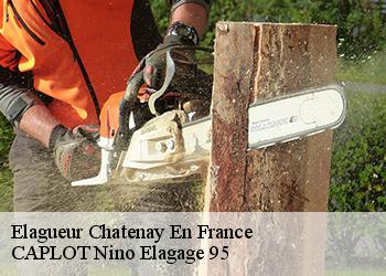 Elagueur  chatenay-en-france-95190 CAPLOT Nino Elagage 95