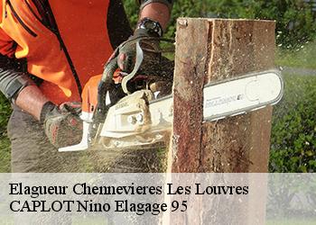 Elagueur  chennevieres-les-louvres-95380 CAPLOT Nino Elagage 95