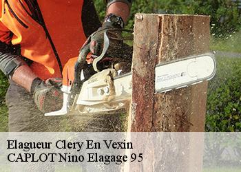 Elagueur  clery-en-vexin-95420 CAPLOT Nino Elagage 95