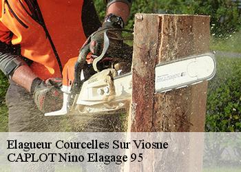 Elagueur  courcelles-sur-viosne-95650 CAPLOT Nino Elagage 95