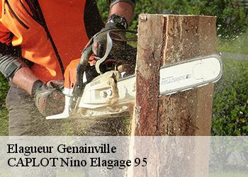 Elagueur  genainville-95420 CAPLOT Nino Elagage 95