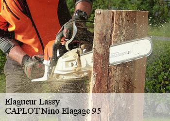 Elagueur  lassy-95270 CAPLOT Nino Elagage 95