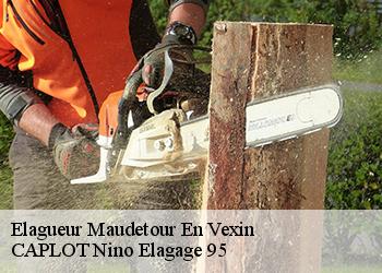 Elagueur  maudetour-en-vexin-95420 CAPLOT Nino Elagage 95