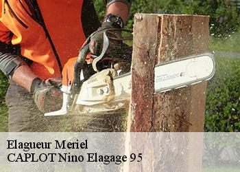 Elagueur  meriel-95630 CAPLOT Nino Elagage 95