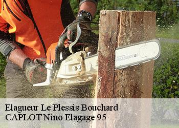 Elagueur  le-plessis-bouchard-95130 CAPLOT Nino Elagage 95