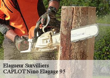 Elagueur  survilliers-95470 CAPLOT Nino Elagage 95