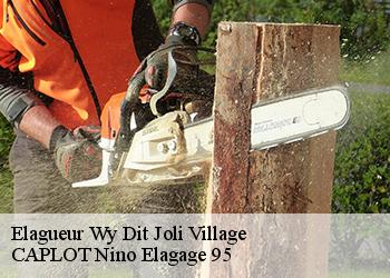 Elagueur  wy-dit-joli-village-95420 CAPLOT Nino Elagage 95