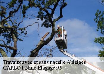 Travaux avec et sans nacelle  ableiges-95450 CAPLOT Nino Elagage 95