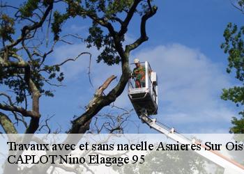 Travaux avec et sans nacelle  asnieres-sur-oise-95270 CAPLOT Nino Elagage 95