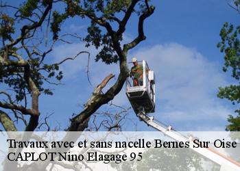 Travaux avec et sans nacelle  bernes-sur-oise-95340 CAPLOT Nino Elagage 95