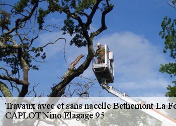 Travaux avec et sans nacelle  bethemont-la-foret-95840 CAPLOT Nino Elagage 95