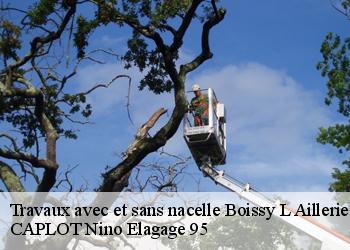 Travaux avec et sans nacelle  boissy-l-aillerie-95650 CAPLOT Nino Elagage 95