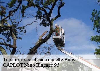 Travaux avec et sans nacelle  buhy-95770 CAPLOT Nino Elagage 95