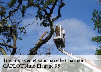 Travaux avec et sans nacelle  charmont-95420 CAPLOT Nino Elagage 95