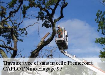 Travaux avec et sans nacelle  fremecourt-95830 CAPLOT Nino Elagage 95