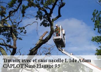 Travaux avec et sans nacelle  l-isle-adam-95290 CAPLOT Nino Elagage 95