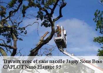 Travaux avec et sans nacelle  jagny-sous-bois-95850 CAPLOT Nino Elagage 95