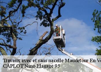 Travaux avec et sans nacelle  maudetour-en-vexin-95420 CAPLOT Nino Elagage 95