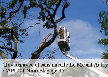 Travaux avec et sans nacelle le-mesnil-aubry-95720 CAPLOT Nino Elagage 95