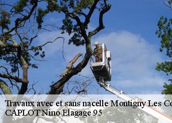 Travaux avec et sans nacelle  montigny-les-cormeilles-95370 CAPLOT Nino Elagage 95