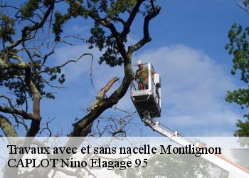 Travaux avec et sans nacelle montlignon-95680 CAPLOT Nino Elagage 95