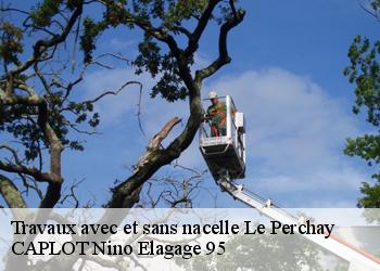 Travaux avec et sans nacelle  le-perchay-95450 CAPLOT Nino Elagage 95