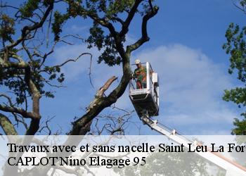 Travaux avec et sans nacelle  saint-leu-la-foret-95320 CAPLOT Nino Elagage 95