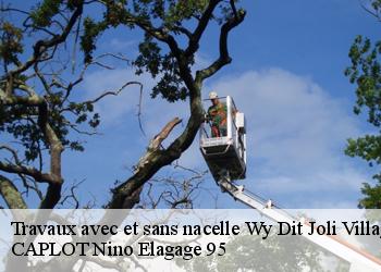 Travaux avec et sans nacelle  wy-dit-joli-village-95420 CAPLOT Nino Elagage 95
