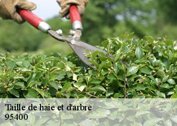 Taille de haie et d'arbre  95400