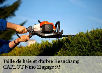 Taille de haie et d'arbre  beauchamp-95250 CAPLOT Nino Elagage 95
