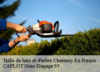 Taille de haie et d'arbre  chatenay-en-france-95190 CAPLOT Nino Elagage 95