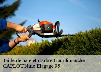 Taille de haie et d'arbre  courdimanche-95800 CAPLOT Nino Elagage 95