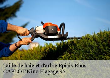 Taille de haie et d'arbre  epiais-rhus-95810 CAPLOT Nino Elagage 95