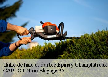 Taille de haie et d'arbre  epinay-champlatreux-95270 CAPLOT Nino Elagage 95